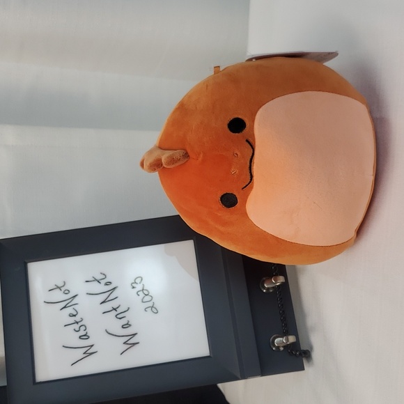 Kellytoy Other - BNWT Elson the Eel Squishmallows 7"